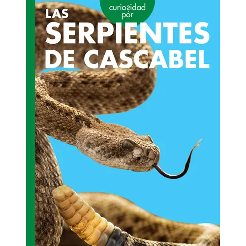 Curiosidad Por Las Serpientes de Cascabel