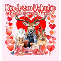 Día de San Valentín En la Montaña de Marigold