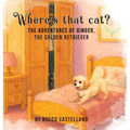 Where's that cat?