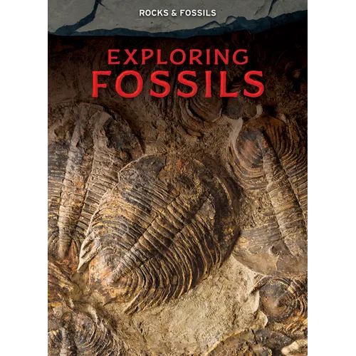 Exploring Fossils