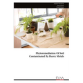 Phytoremediation Of Soil Contaminated By Heavy Metals