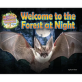 Welcome to the Forest at Night