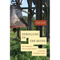 Strolling in the Ruins: The Caribbean's Non-Sovereign Modern in the Early Twentieth Century