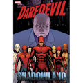 Daredevil: Shadowland Omnibus Cassaday Cover [New Printing]
