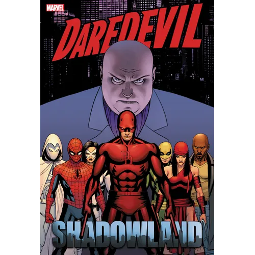 Daredevil: Shadowland Omnibus Cassaday Cover [New Printing]