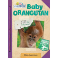Baby Orangutan