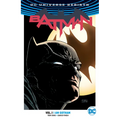 Batman Vol. 1: I Am Gotham (2024 Edition)