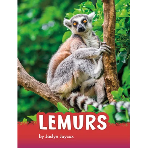 Lemurs