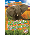 African Elephants