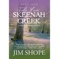 Tales From Skeenah Creek: A Civil War Historical Fiction Novel