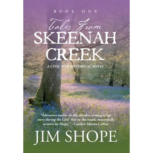 Tales From Skeenah Creek: A Civil War Historical Fiction Novel