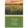 Living in the Trinity
