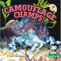 Camouflage Champs!