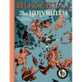Buzzelli Collected Works Vol. 1: The Labyrinth