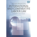 International and Comparative Labour Law: Current Challenges