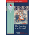 The Practice of Mahamudra: The Teachings of His Holiness, the Drikung Kyabgon, Chetsang Rinpoche