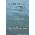 Loon In Late November Water