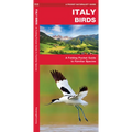 Italy Birds: A Folding Pocket Guide to Familiar Species