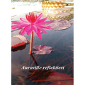 Auroville reflektiert
