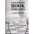 Conceptual Rook Endgames: Grandmaster Knowledge