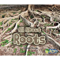 All about Roots