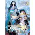 Reincarnated as a Dragon Hatchling (Light Novel) Vol. 10