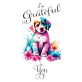 I'm Grateful for You...