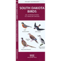 Rhode Island Birds: A Folding Pocket Guide to Familiar Species