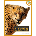 Guepardo