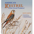 American Kestrel: Pint-Sized Predator