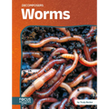 Worms