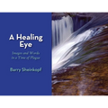 A Healing Eye: Images and Words in a Time of Plague