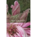 Spirit Seizures: Stories