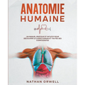 Anatomie Humaine: Un Manuel Pratique et Intuitif pour Découvrir le Corps Humain et Toutes ses Composantes