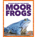 Moor Frogs