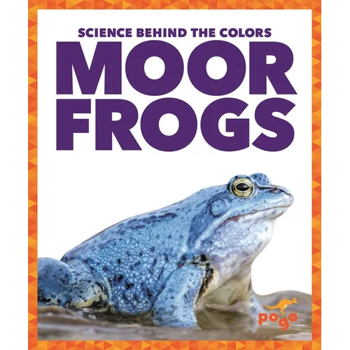 Moor Frogs
