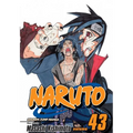 Naruto, Vol. 43