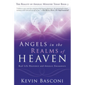 Angels in the Realms of Heaven: The Reality of Angelic Ministry Today