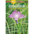 Wildflowers of the Desert Southwest