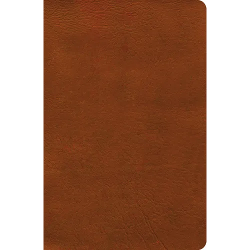 NASB Verse-By-Verse Reference Bible, Burnt Sienna Leathertouch
