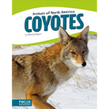 Coyotes