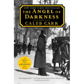 The Angel of Darkness: Book 2 of the Alienist: A Novel
