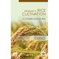 Advances in Rice Cultivation: A Complete Guide on Rice