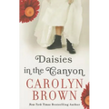 Daisies in the Canyon