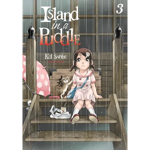Island in a Puddle 3