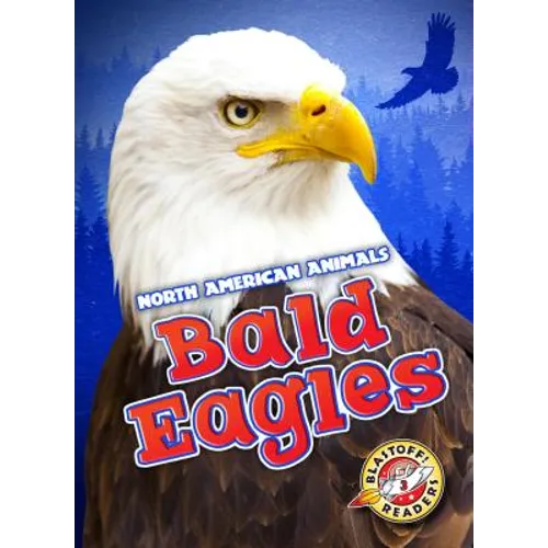 Bald Eagles