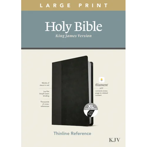 KJV Large Print Thinline Reference Bible, Filament Enabled Edition (Red Letter, Leatherlike, Black/Onyx, Indexed)