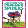 Peacock Spiders