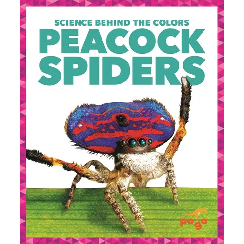 Peacock Spiders