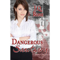 Dangerous Sanctuary: 2nd Edition